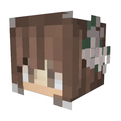 Aleximaxis Minecraft avatar head, 3D render