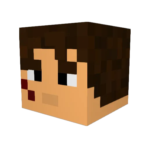 AlexisLeCochon Minecraft avatar head, 3D render