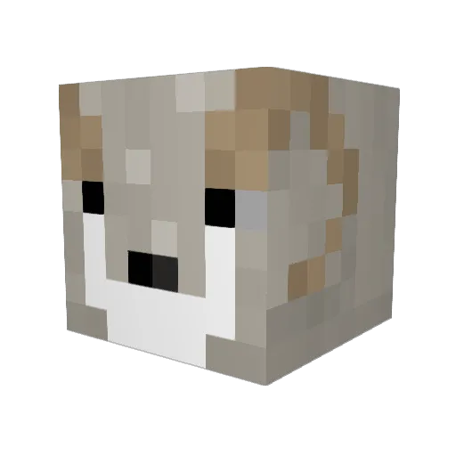 AlexisPatterson Minecraft avatar head, 3D render