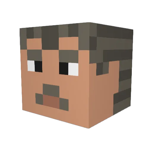 Alexis_1170 Minecraft avatar head, 3D render
