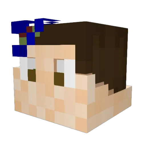 Alexis_11 Minecraft avatar head, 3D render