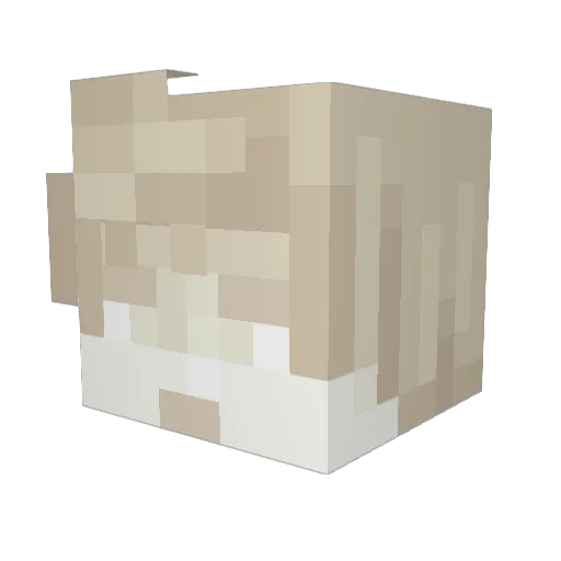 Alexiscat Minecraft avatar head, 3D render