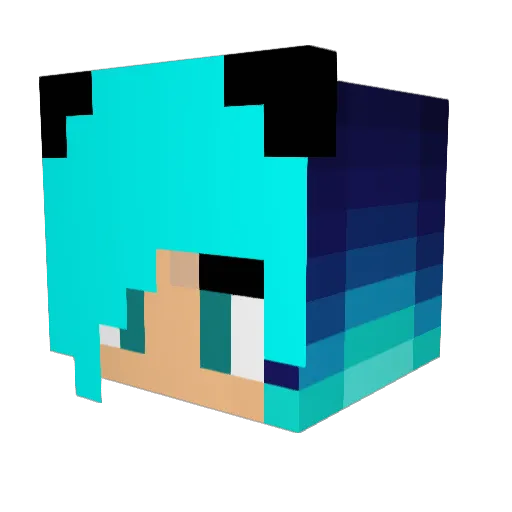 Alexiscupcakes Minecraft avatar head, 3D render