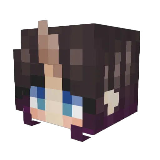 Alexisi_ Minecraft avatar head, 3D render