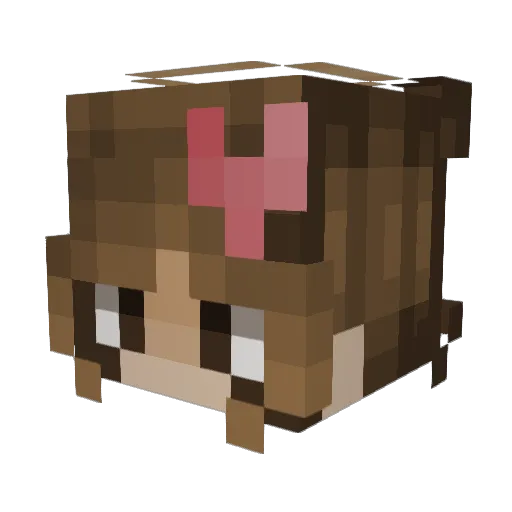 Alexiss00 Minecraft avatar head, 3D render