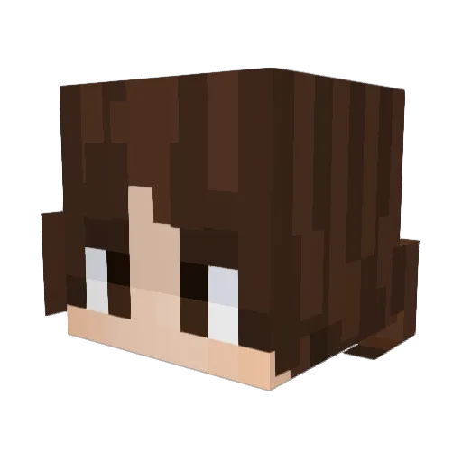 Alexito1418 Minecraft avatar head, 3D render