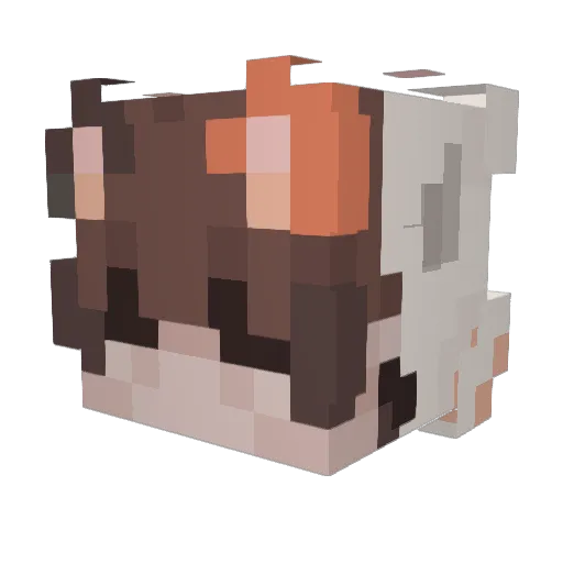 Alexiys Minecraft avatar head, 3D render