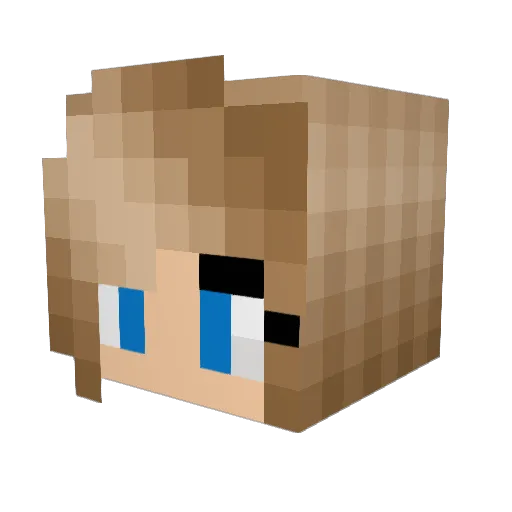 Alexlb5 Minecraft avatar head, 3D render