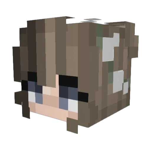 Alexlikescookies Minecraft avatar head, 3D render