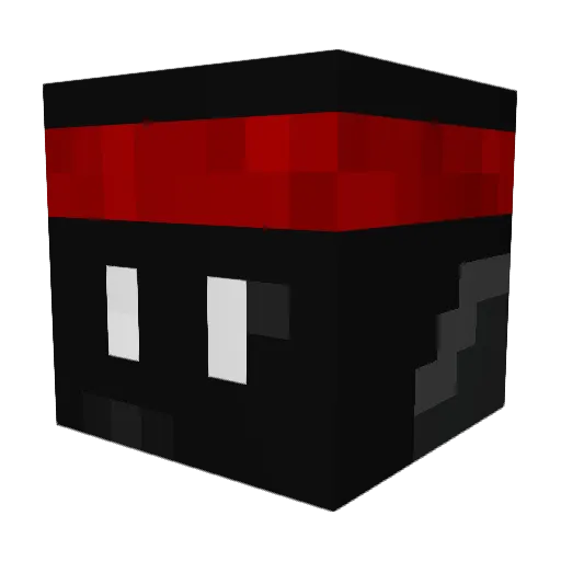Alexluv2456 Minecraft avatar head, 3D render