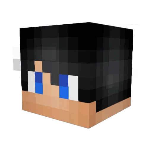 Alexogy Minecraft avatar head, 3D render