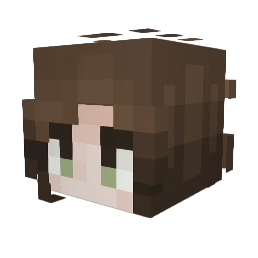 Alexouille_666 Minecraft avatar head, 3D render