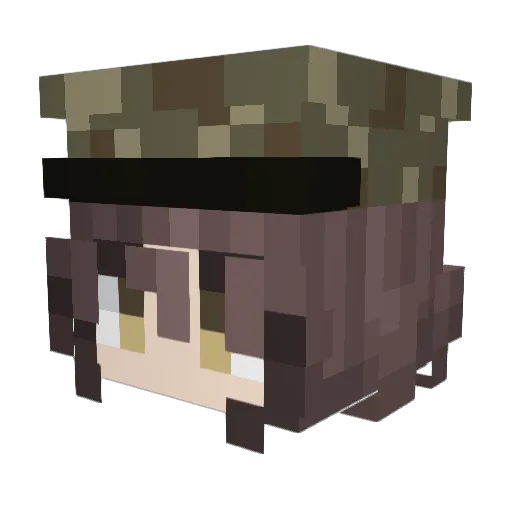Alexpinguin56 Minecraft avatar head, 3D render