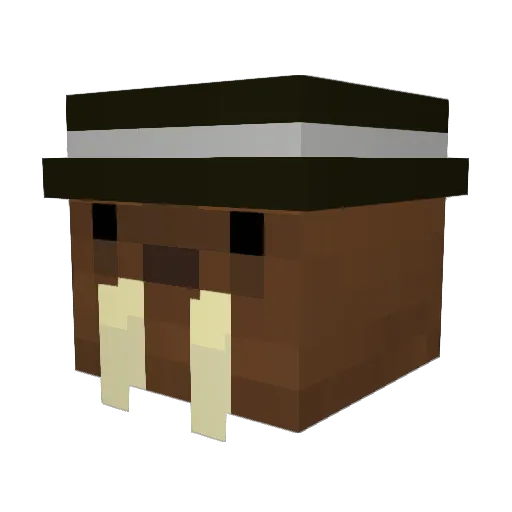 Alexq659 Minecraft avatar head, 3D render