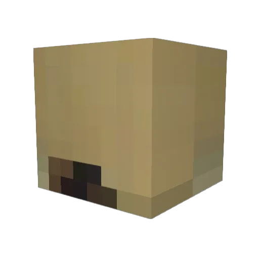 Alexraye Minecraft avatar head, 3D render