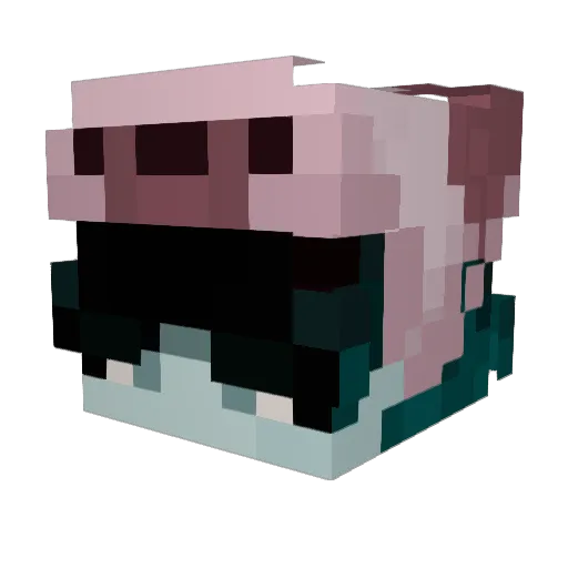Alexrt0_ Minecraft avatar head, 3D render