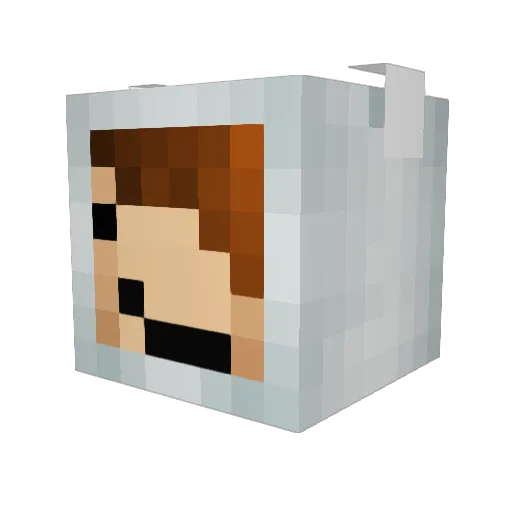 Alexslover Minecraft avatar head, 3D render