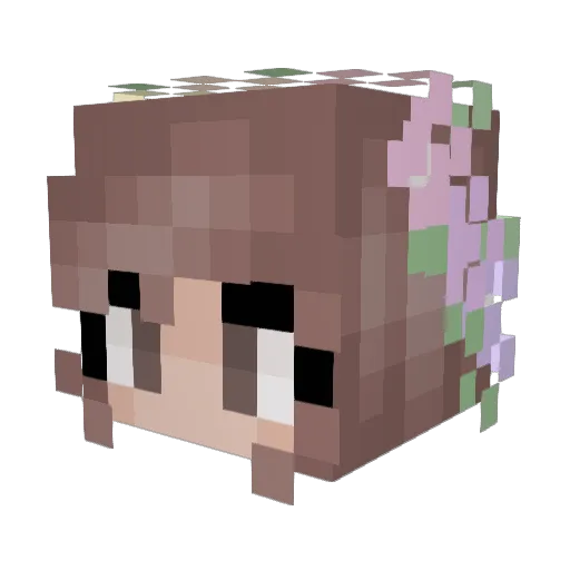 Alexus2898 Minecraft avatar head, 3D render