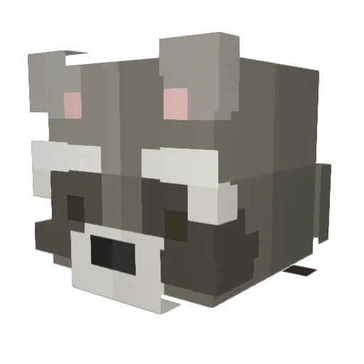 Alexwhit99 Minecraft avatar head, 3D render