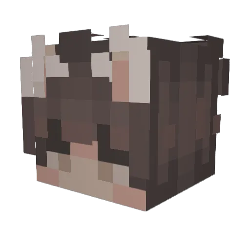 Alexx1814 Minecraft avatar head, 3D render