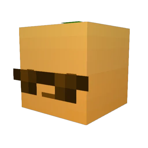 Alexx43 Minecraft avatar head, 3D render
