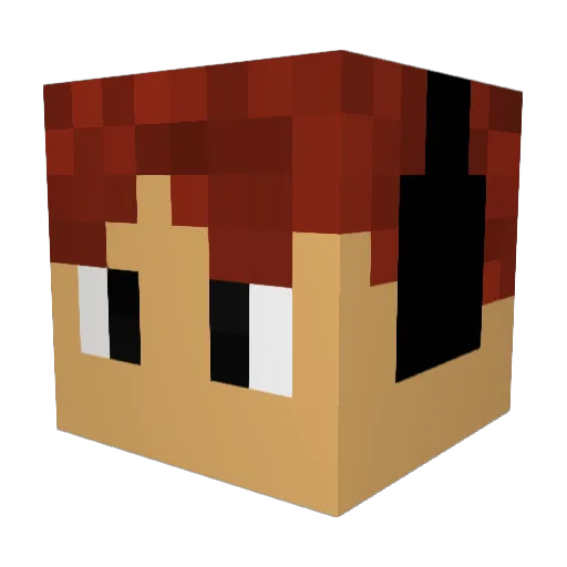AlexxMC45 Minecraft avatar head, 3D render