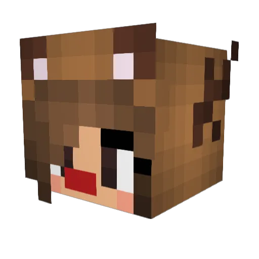 Alexxxxpj Minecraft avatar head, 3D render