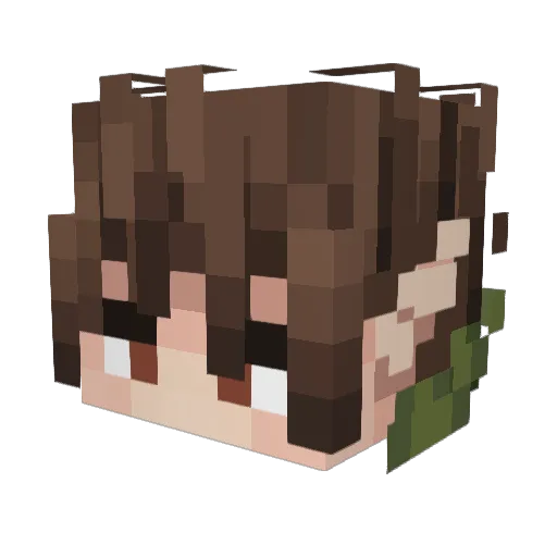 Alexzini Minecraft avatar head, 3D render