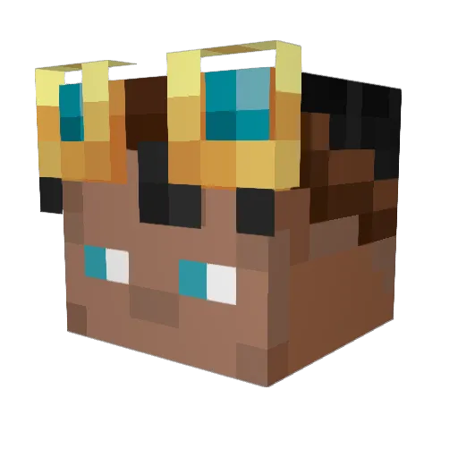AleyDonDale Minecraft avatar head, 3D render