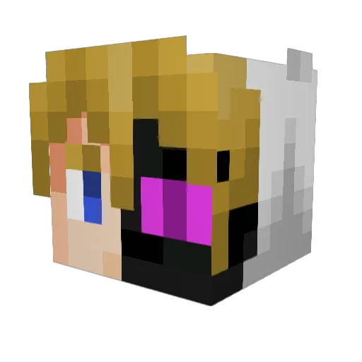Alf4y Minecraft avatar head, 3D render