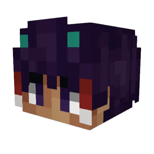 Alfaca Minecraft avatar head, 3D render