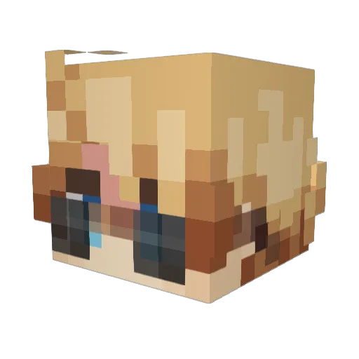 Alferd_jones Minecraft avatar head, 3D render