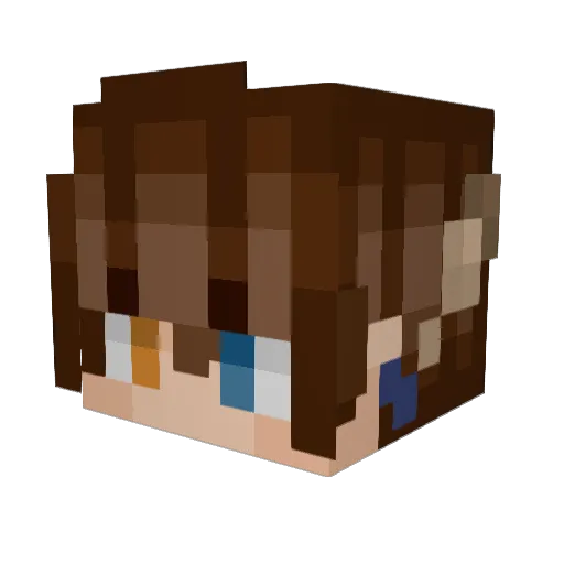 AlfheimOsprey Minecraft avatar head, 3D render