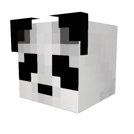 Alfiecat5 Minecraft avatar head, 3D render
