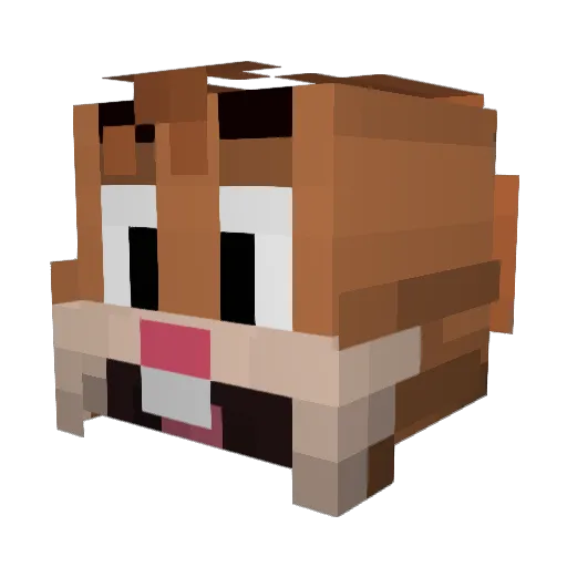 Alfonsedanleta Minecraft avatar head, 3D render