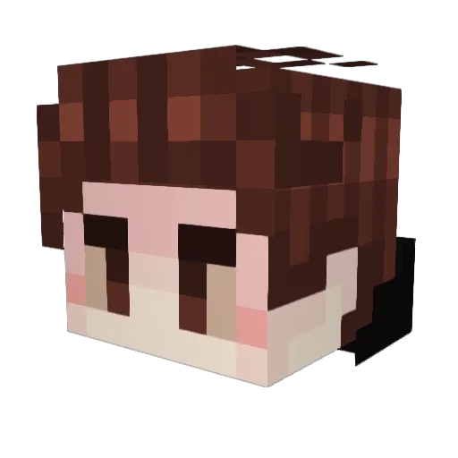 Minecraft-Avatar von Alfonzbo: Kopf als 3D-Render