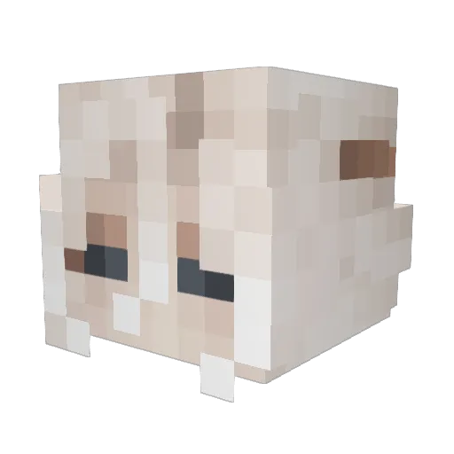 Alford_ Minecraft avatar head, 3D render