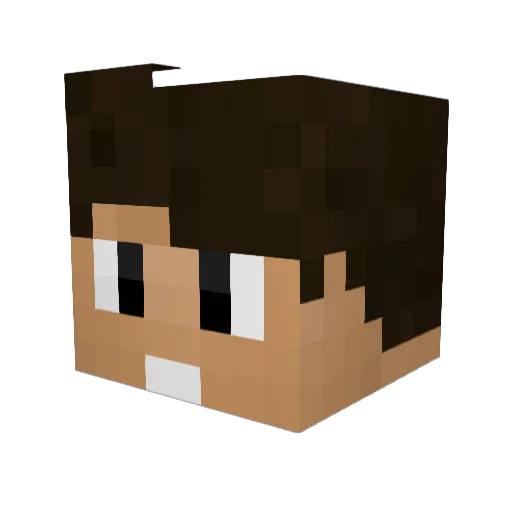 Alfox38 Minecraft avatar head, 3D render