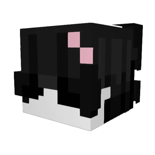 AlfredinhoxMC Minecraft avatar head, 3D render