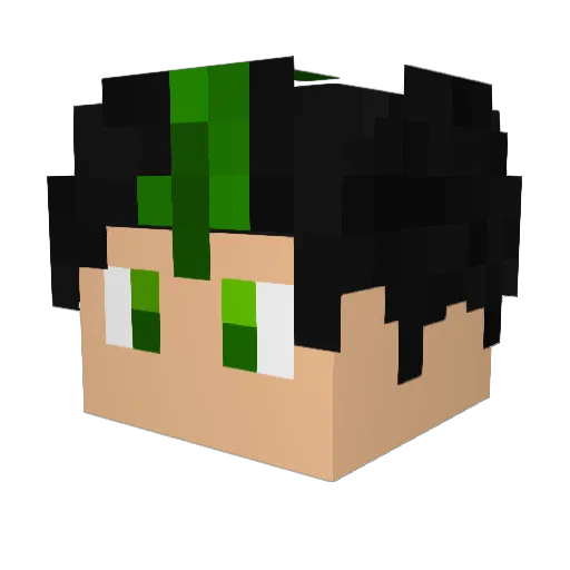 Alga0 Minecraft avatar head, 3D render