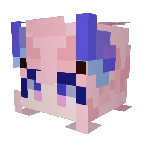 Algada Minecraft avatar head, 3D render