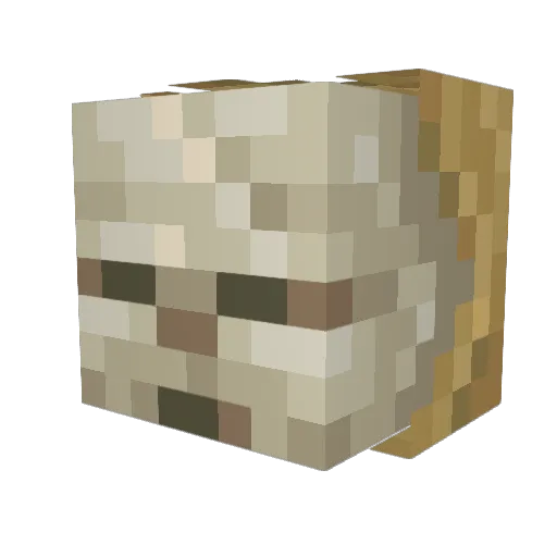 Alganaut Minecraft avatar head, 3D render