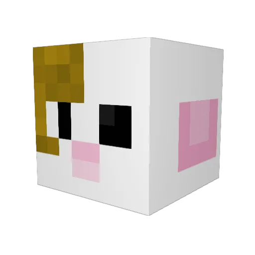 Alganer Minecraft avatar head, 3D render