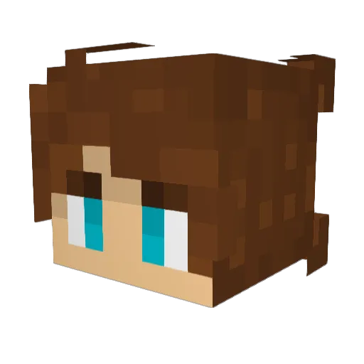 AlgebraManiacABC Minecraft avatar head, 3D render