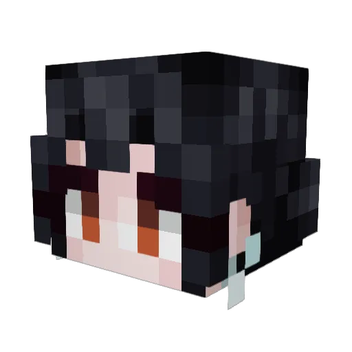 AlgebraicNinja Minecraft avatar head, 3D render
