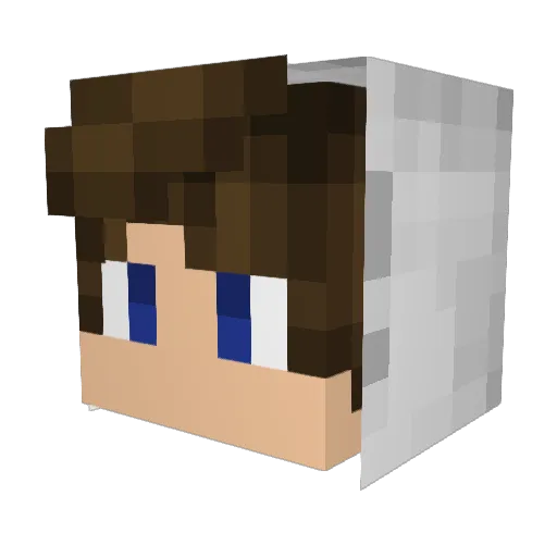 Algorithm_ Minecraft avatar head, 3D render