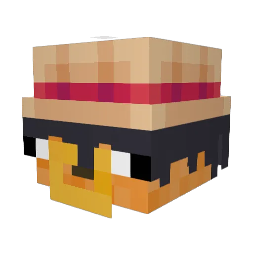 Algunnombre Minecraft avatar head, 3D render
