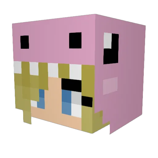Alhovis Minecraft avatar head, 3D render