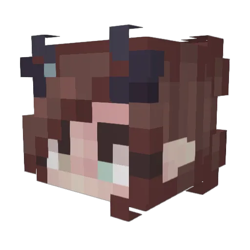 Ali00 Minecraft avatar head, 3D render