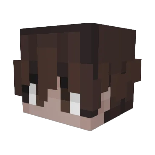 Ali2good Minecraft avatar head, 3D render